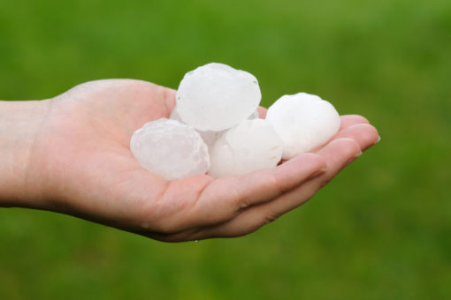 A hand holding large hailstones on its palm